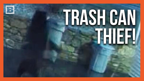 Absolute Madman Bear Steals Trash Can Off of Driveway in Connecticut