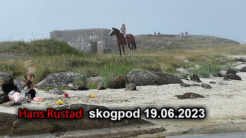 Skogpod 19. juni 2023