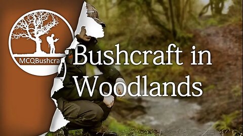 Bushcraft Foraging & Cooking in the Forest