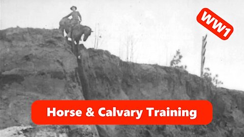 World War I Calvary & Horse Training