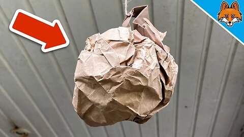 Hang up THIS Bag and WATCH WHAT HAPPENS💥(Mind Blowing)🤯