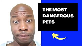 Most Dangerous Pets - Killer Pets