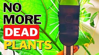 The BEST Plant Sensor/App! It Uses Science! 🪴