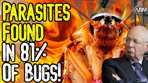 Eat Ze Bugz? - PARASITES FOUND IN 81% OF BUGS! - The Great Reset Agenda IS EVIL! - We're NOT CATTLE!