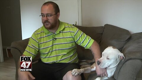 Man speaks out after getting dogs off side of the road
