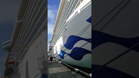 Cruiseliner Royal Princess (3)