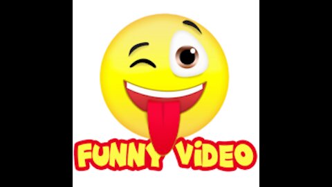 video funny fun