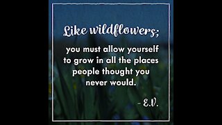 Like Wildflowers [GMG Originals]