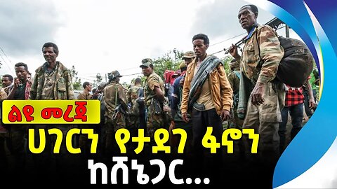 ሀገርን የታደገ ፋኖን ከሸኔጋር... | አማራ ፋኖ | ethiopia | addis ababa | amhara | oromo