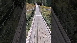 Suspension bridge, Hiking Canada, #nature #travel