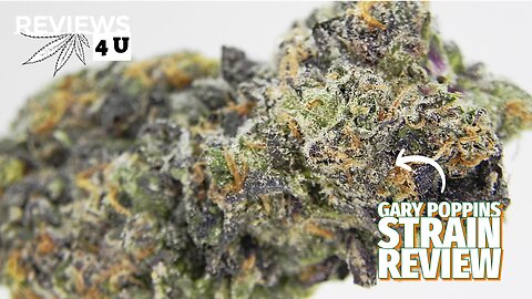 GARY POPPINS AAA+ STRAIN REVIEW | THC REVIEWS 4 U - ONE TWO TREEZ