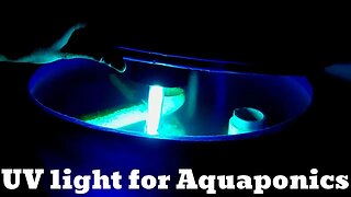 UV light for Aquaponics- (hybrid aquaponics system)