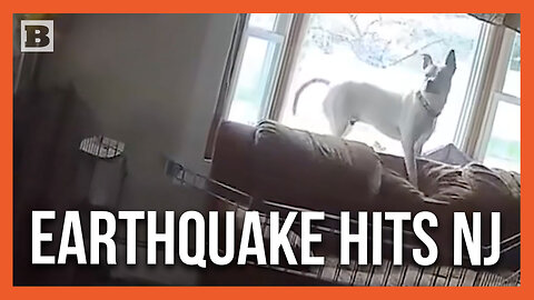 Dog and Man Shaken Up by Earthquake in New Jersey Home