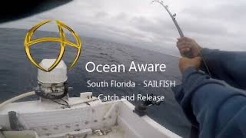 Fort Lauderdale Sailfish Catch and Release_ Elegant Aware_ Small Boat Fishing Channel