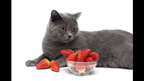 My Cutie pie eating strawberry