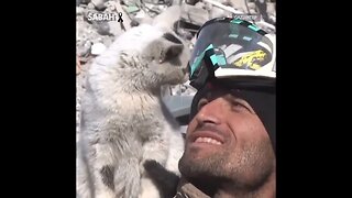 Cat refuses to leave its rescuer following the earthquake in Turkey