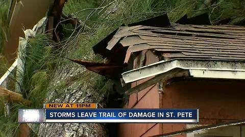 Tree falls on homes