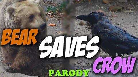 Bear SAVES Crow from DROWNING! | Parody