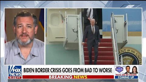 Sen Cruz: Biden Body Bags At The Border Continue To Pile Up