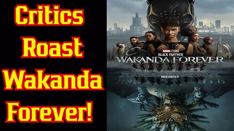 Black Panther Wakanda Forever DESTROYED By Critics For MAJOR Stereotypes About Hispanics & Blacks