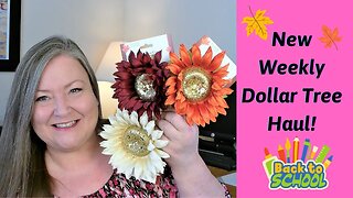 New Dollar Tree Weekly Haul ~ Back to School Supplies ~ Craft Supplies & More! ~ 07/13/21