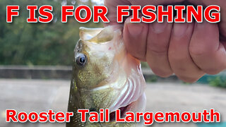 Rooster Tail Largemouth