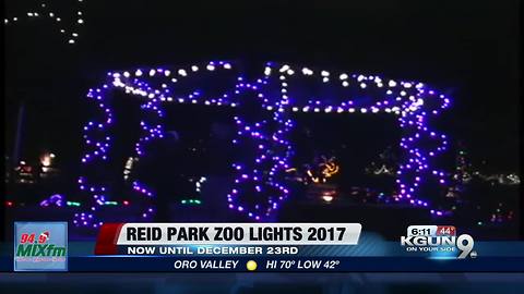 Annual Zoo Lights at Reid Park Zoo kicks off