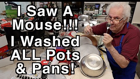 A Mouse Made Me Wash All Pots And Pans!!