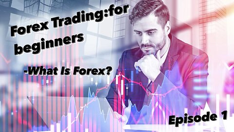 Understanding the Basics - Forex Trading for Beginners
