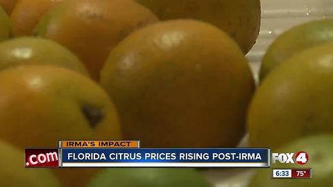 Florida citrus prices rising post-irma