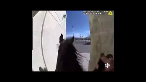 Albuquerque Police on Horse