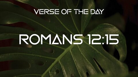 November 27, 2022 - Romans 12:15 // Verse of the Day