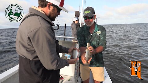 Season 3, Ep. 7: Steinhatchee | Altamaha River Sportsman