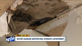 'We're all living this nightmare': Tenant says water damage destroying apartment