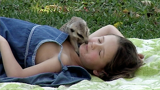 Little girl spends quality time with her pet meerkat