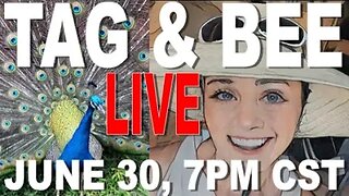 TAG & BEE LIVE