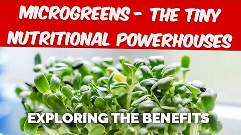 Microgreens - The Tiny Nutritional Powerhouses Exploring the Benefits