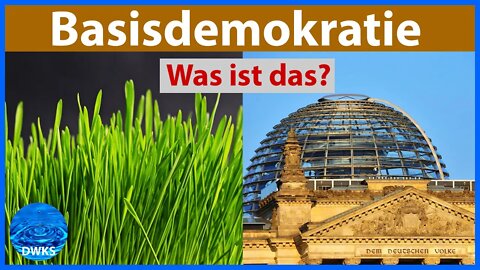 Basisdemokratie - Was ist das überhaupt?