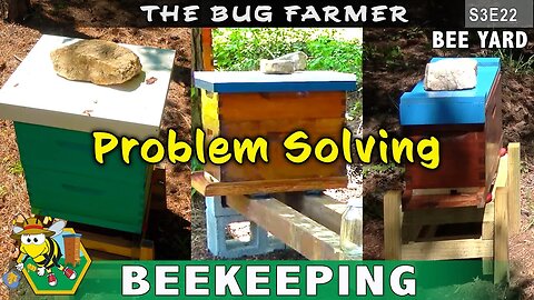 Beekeeping is about problem solving. Bees do what bees do and beekeepers just assist.