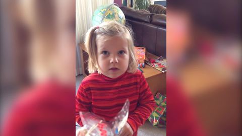 "A Perfect Excuse: A Tot Girl Explains That She Didn’t Broke An Ornament"