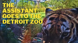 The Assistant goes to the Zoo