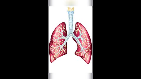 What is external respiration?