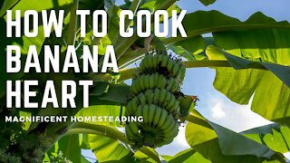 How to Make Banana Heart Stew