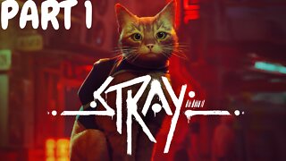 RoKo Plays: Stray | PART 1 | Let's Play