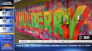 'Why Not Mulberry?' mural aims to boost small-town spirits