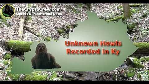 Unknown Howls Recorded in Kentucky | Enhancement