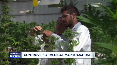 Concern over the use of medical marijuana to treat opioid addiction?