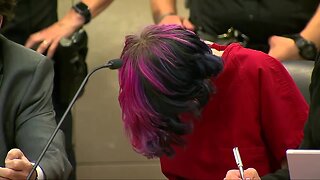 18-year-old accused in deadly STEM School shooting appears in court