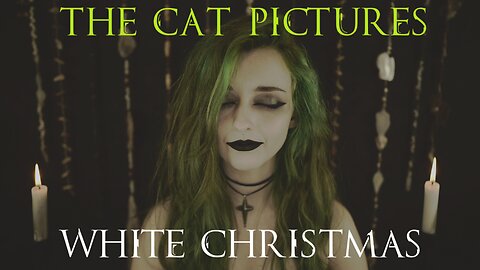 The Cat Pictures (feat. Rena Bond) - White Christmas