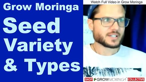 13 Types of Moringa? Learn Seed Variety and Differences Between Moringa Trees for the Most Desirable